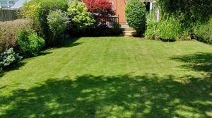 Photo 25- click for photo gallery